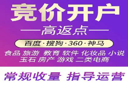 信息流代运营实战技巧与案例分析